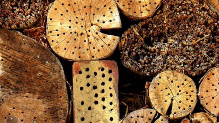 Txiki tailerra: Intsektuen hotela