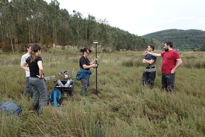 Butroe itsasadarrekoa bezlako padurek klima-aldaketa eragiten duen karbonoa gordetzeko ahalmena dute