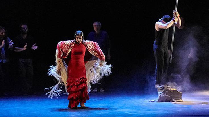 Dantza-ikuskizuna: "Burdina"