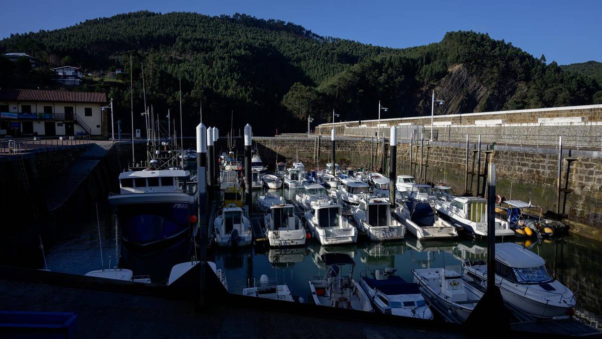 Berdelaren kanpaina eteteko aukera mahai gainean