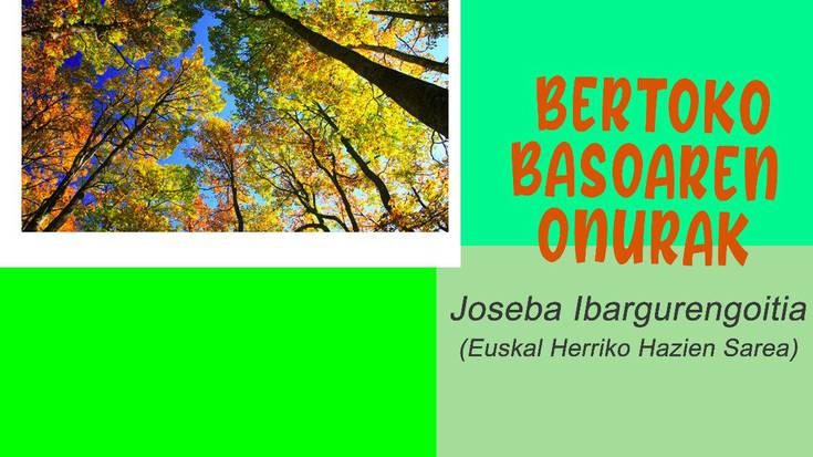 Hitzaldia: bertako basoen onurak