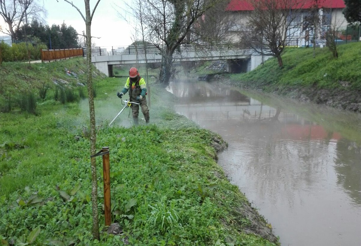 Gobela ibaian sasien garbiketa egiten dabiltza