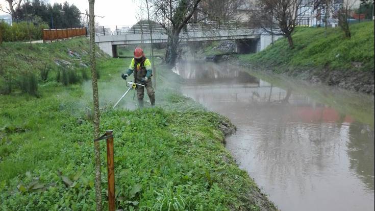 Gobela ibaian sasien garbiketa egiten dabiltza