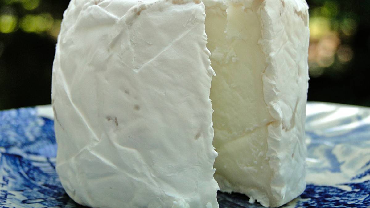DASTA!ren bigarren esperientzia gaztazaleentzat izango da