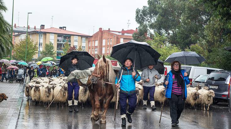 "Akabuko martxea" eta "Dominica" dokumentalak, Barrikan