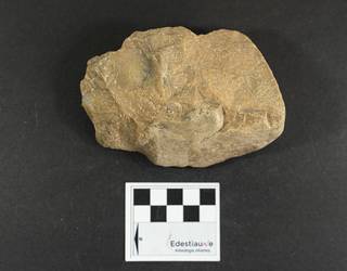 2 modua, Acheul aldikoa