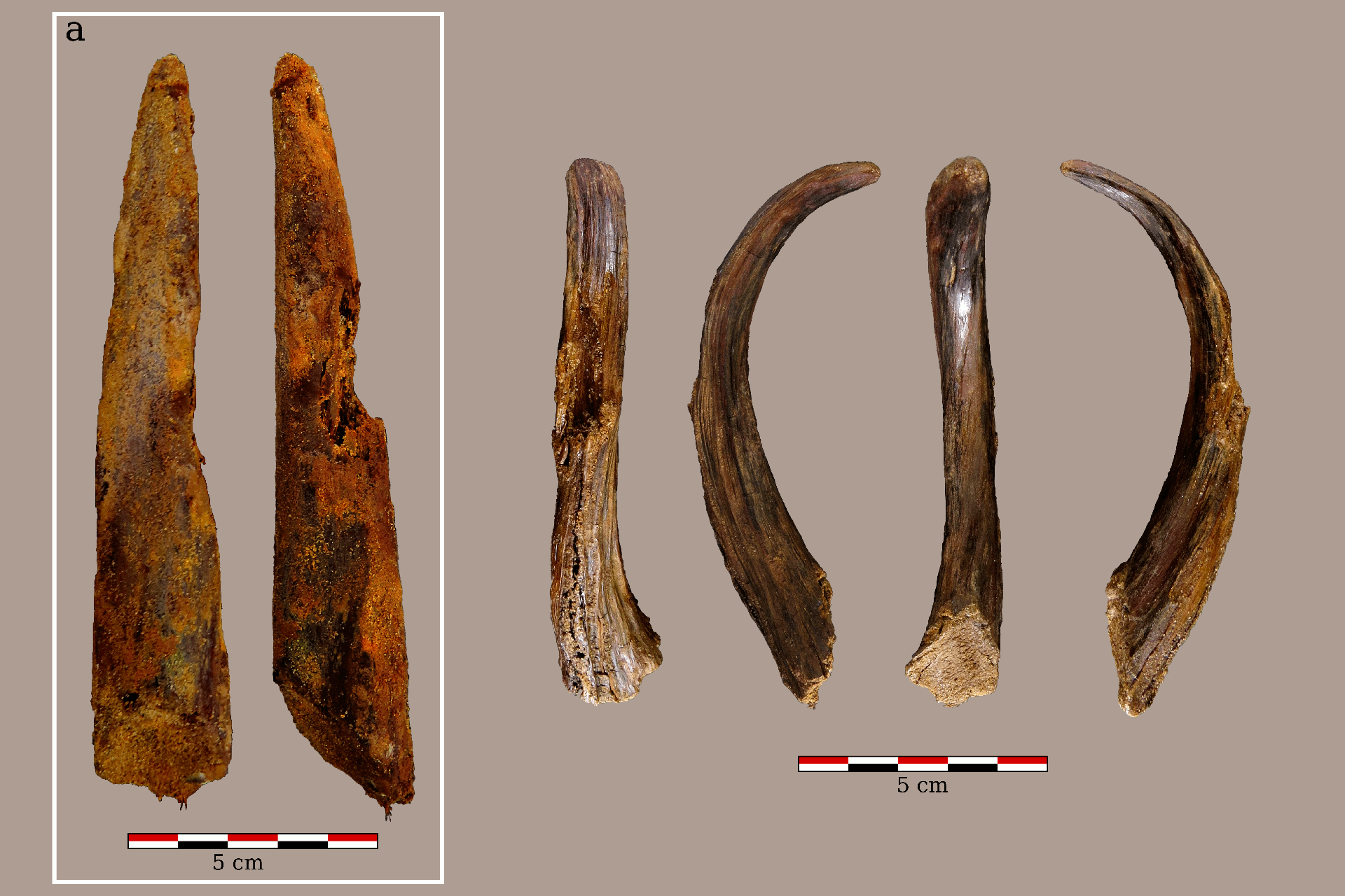 Neandertalen garaiko egurrezko erreminta bat aurkitu dute Barrikan