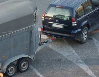 Aldundiak zigorrak jarriko dizkie Leioako Asto Probetan parte hartu zuten astoen jabeei