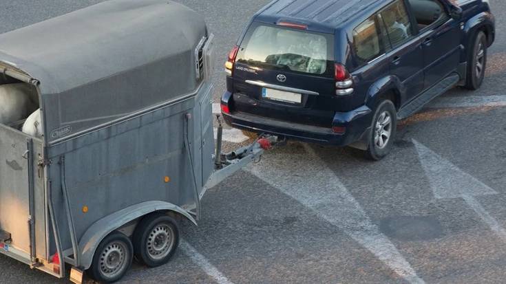 Aldundiak zigorrak jarriko dizkie Leioako Asto Probetan parte hartu zuten astoen jabeei