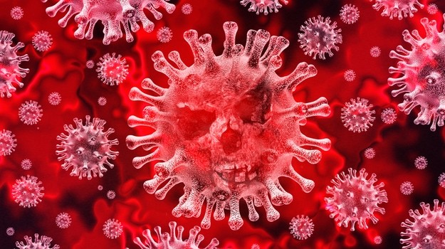 Zientzia Fakultateak streaming bidez emango du "Un par de verdades sobre el coronavirus" berbaldia, 12:00etatik aurrera