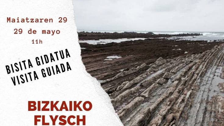 Bisita gidatua Bizkaiko flysch-era