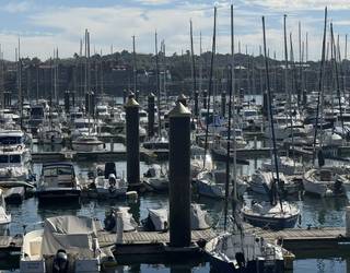 120 amarraleku erregularizatu dituzte Getxoko Kirol Portuan kontratazio-prozesuaren lehen hilabetean