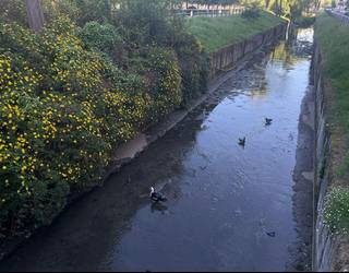 PPk azalpenak eskatu dizkio Getxoko Udalari Gobela ibaiaren kutsaduragatik