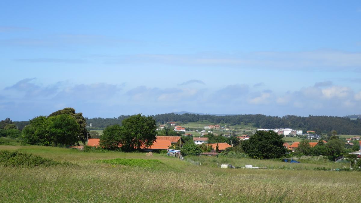 Jauzi Ekosozialak HAPO berria salatu du: "Lur emankorra suntsitu eta herri eredu elitista baten alde egiten du"
