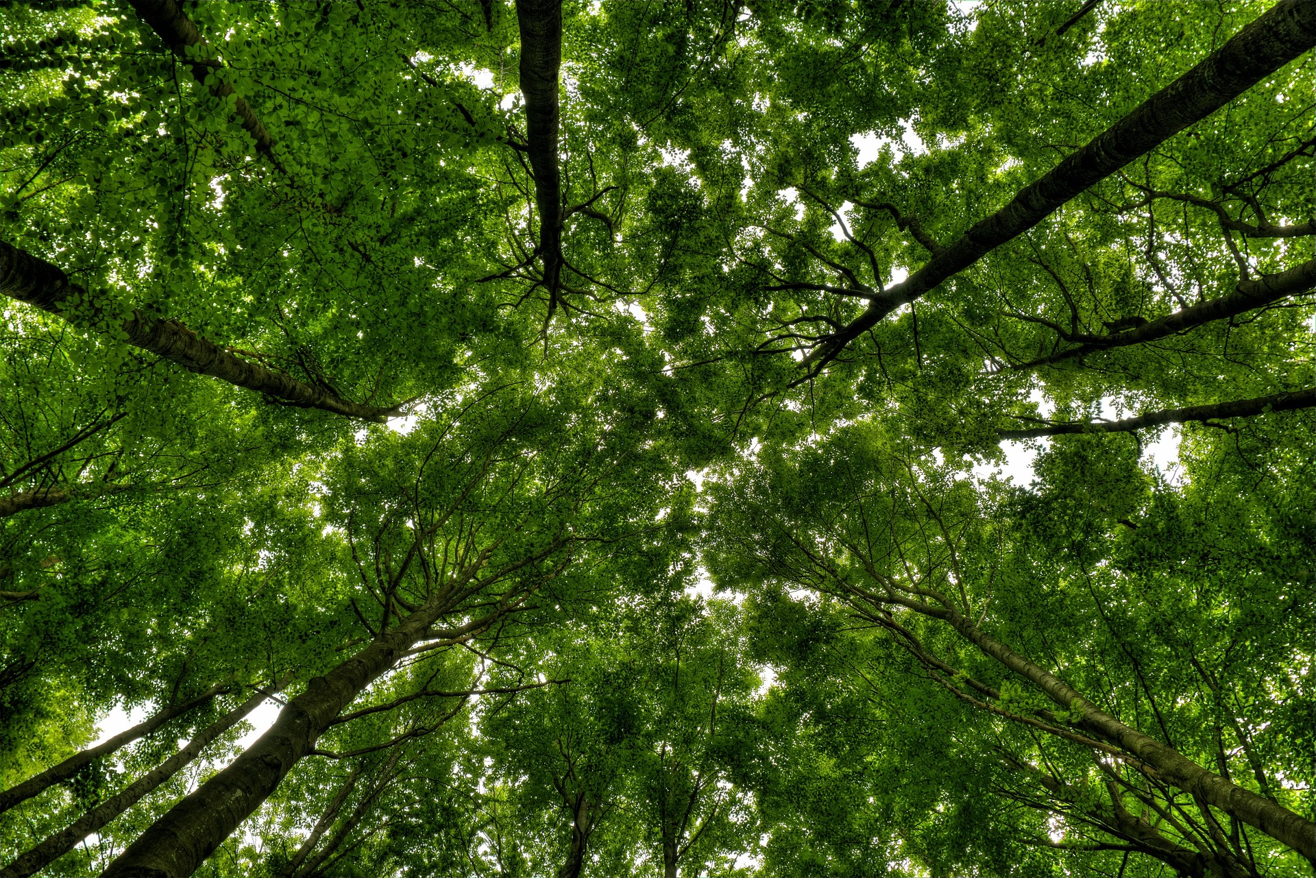 Berangoko natura, argazkien bidez babesteko