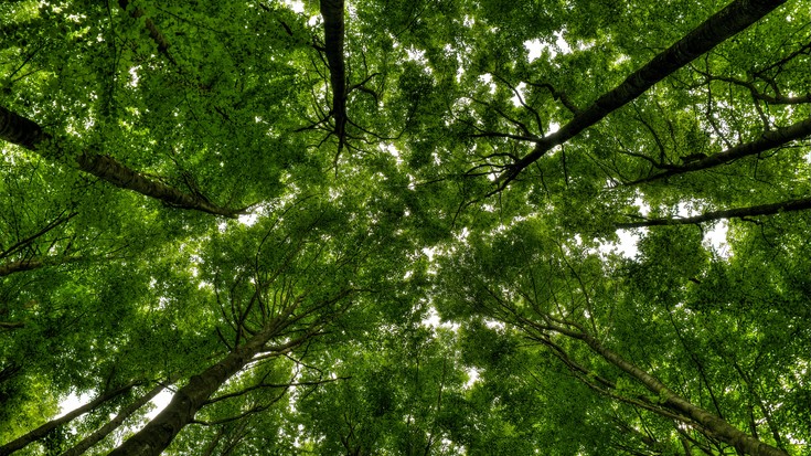 Berangoko natura, argazkien bidez babesteko