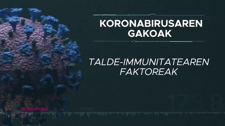 Talde-immunitatearen faktoreak