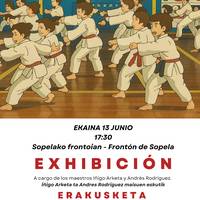 Karate erakustaldia