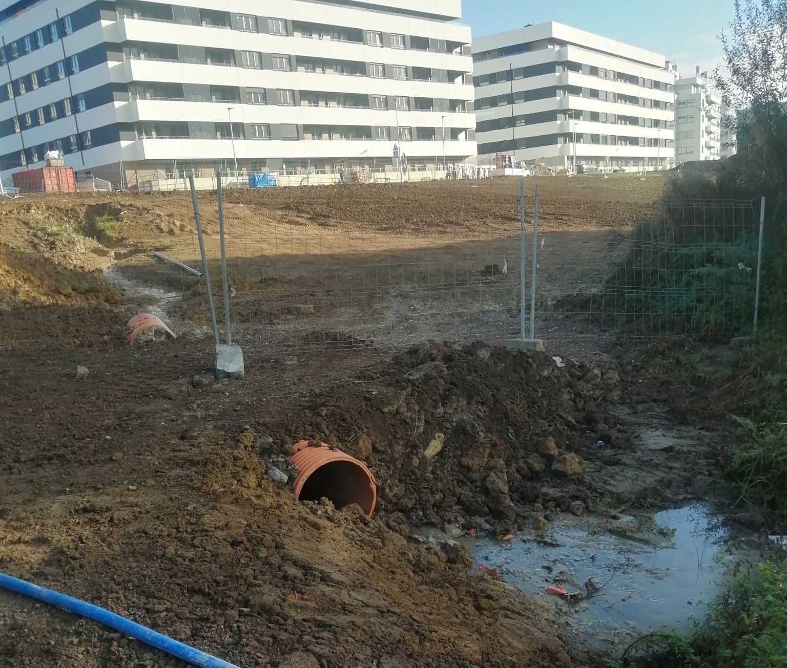 Getxo eta Berango arteko Itze hezegunean egindako ingurumen-delitu bat salatu dute