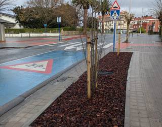 Sopelak hiriguneko zuhaitzak hobetzeko proba pilotua bukatu du