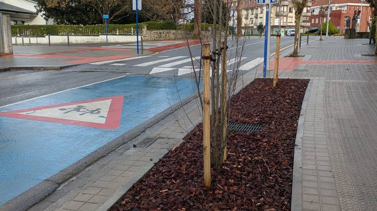 Sopelak hiriguneko zuhaitzak hobetzeko proba pilotua bukatu du