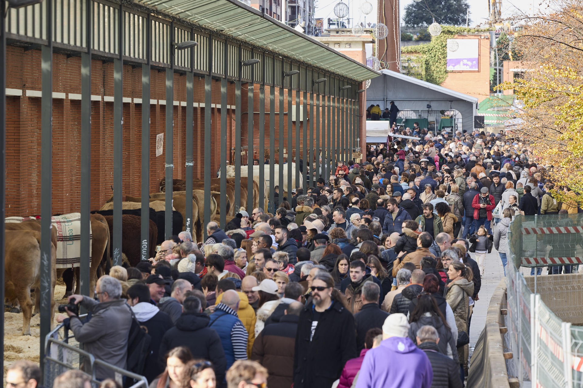 12.000 herritar inguru hurbildu dira Leioako XXIV. Nekazaritza eta Abeltzaintza Azokara