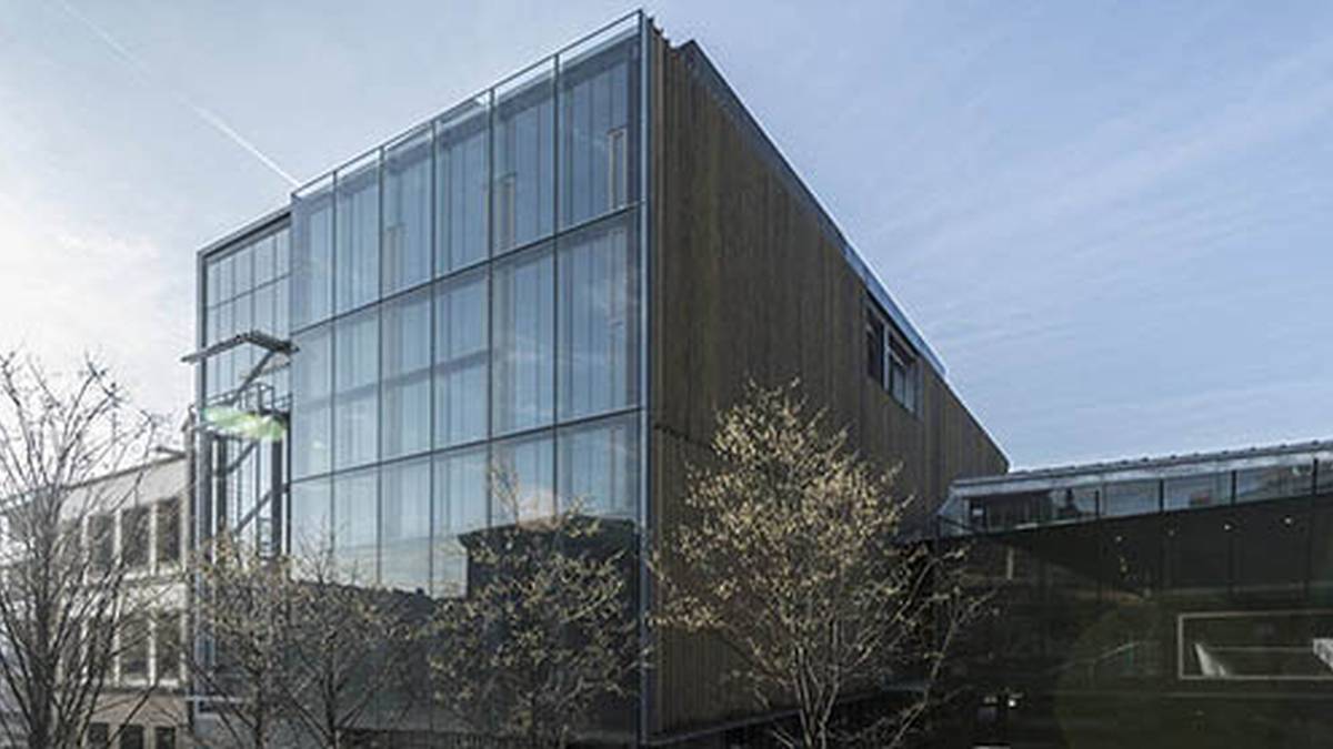 Osasuna harago doan begirada bat, Muxikebarrin