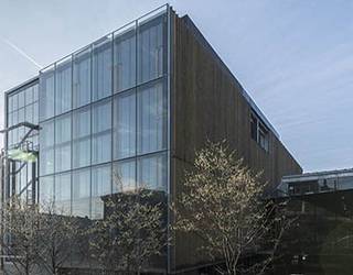 Osasuna harago doan begirada bat, Muxikebarrin