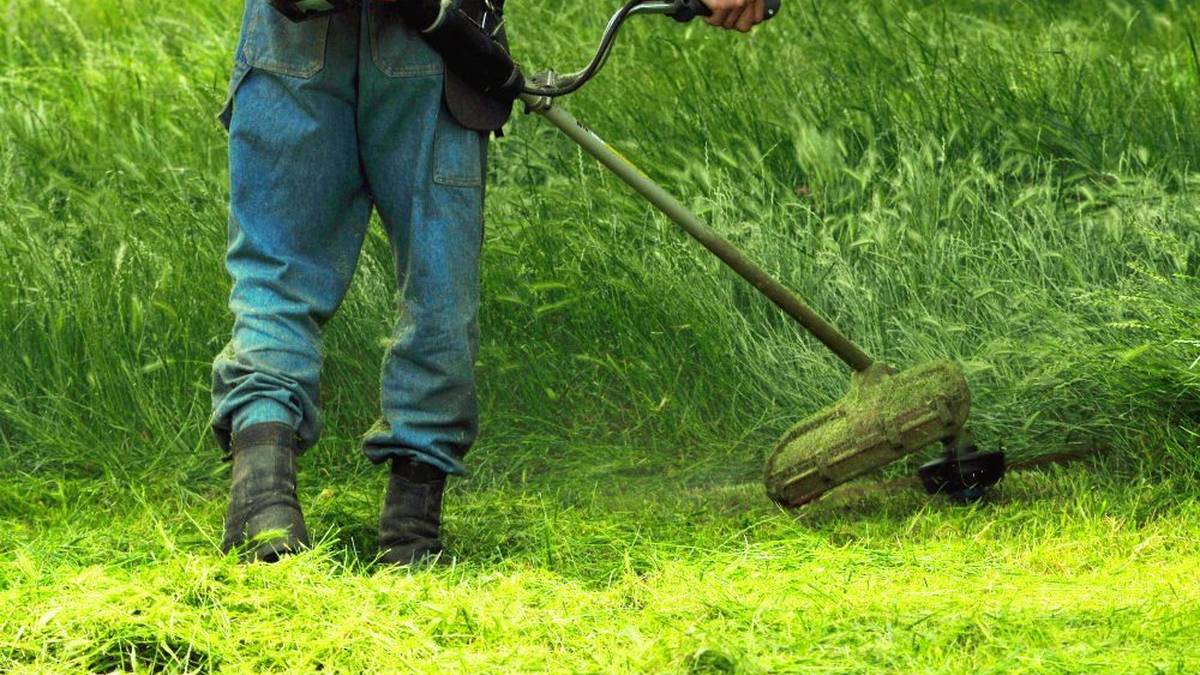 Barrikako Udalak bi pertsona kontratatuko ditu lorezaintza-lanak egiteko