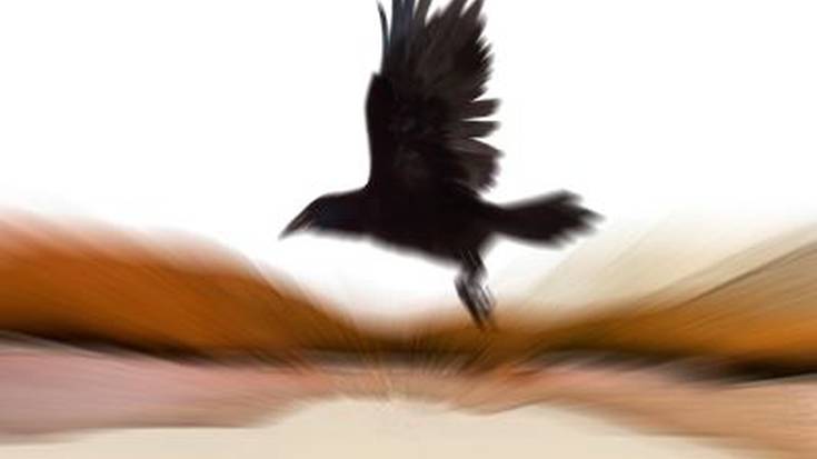 Kontzertua: "Sorotan Bele gogoan"