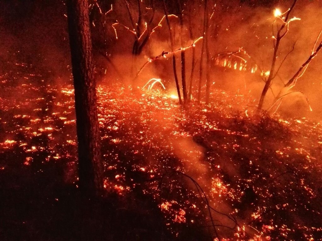 Berangoko sutea “nahita” eragin zutela uste du Ertzaintzak