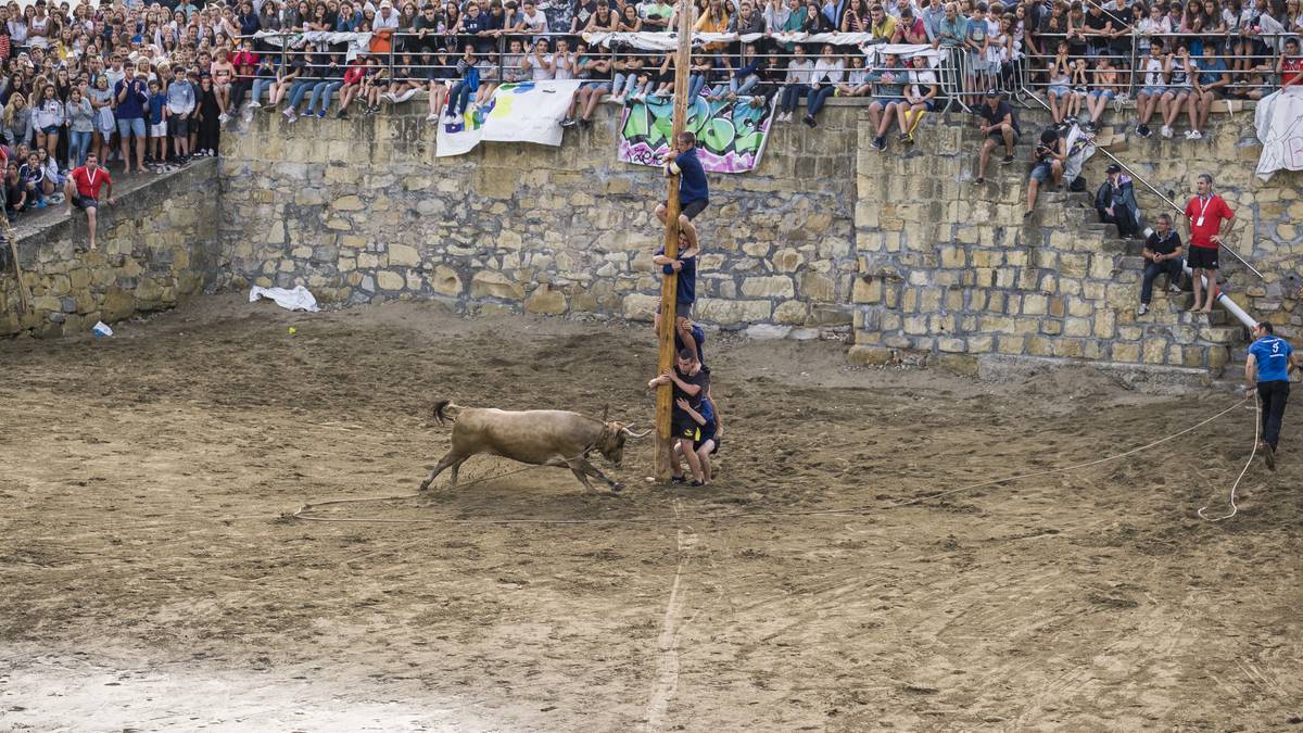 Portu Zaharreko jaietako sokamuturra-proba beste jarduera batengatik aldatzeko sinadura-bilketa abiatu dute Getxon