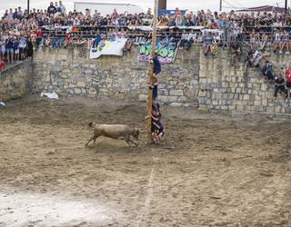 Getxoko Udalak atzera bota du sokamuturra kentzeko herri-ekimena