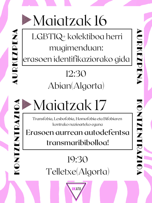 LGBTIQ+ kolektiboa herri mugimenduan: erasoen identifikaziorako gida. AURKEZPENA