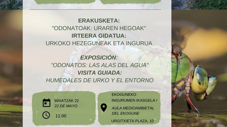 Erakusketa eta bisita gidatua Urkoko ibarrean