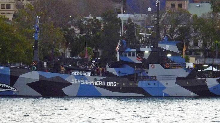 Sea Shepherd talde ekologistaren "Bob Barker" ontzia porturatu da Getxon