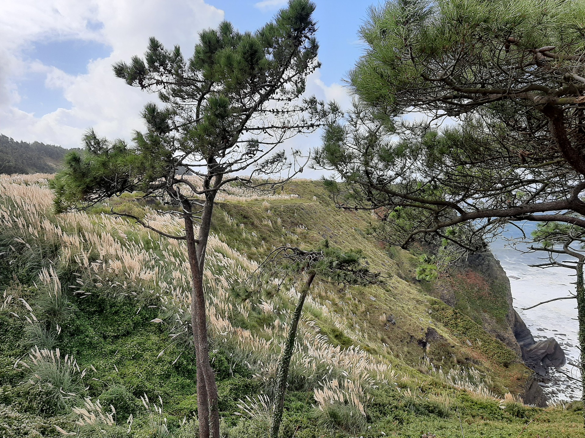 Eskualdeko panpa-lezka eta beste espezie inbaditzaileei buruzko berbaldia egingo dute