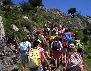 Getxoko udako koloniak doakoak izango dira aurten eta 336 plaza eskainiko dituzte