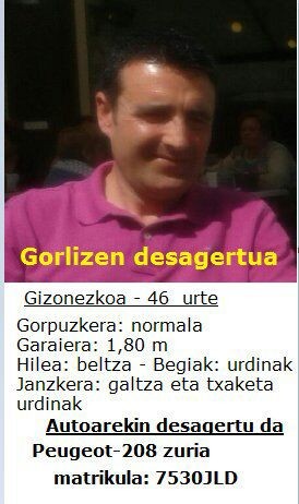 Gorlizko bizilagun baten bila ari dira
