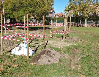 Hainbat espezietako 869 zuhaitz berri landatuko ditu Getxoko Udalak, gehienak autoktonoak