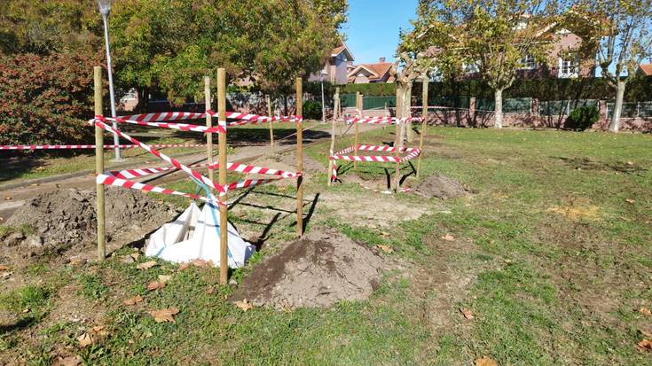 Hainbat espezietako 869 zuhaitz berri landatuko ditu Getxoko Udalak, gehienak autoktonoak