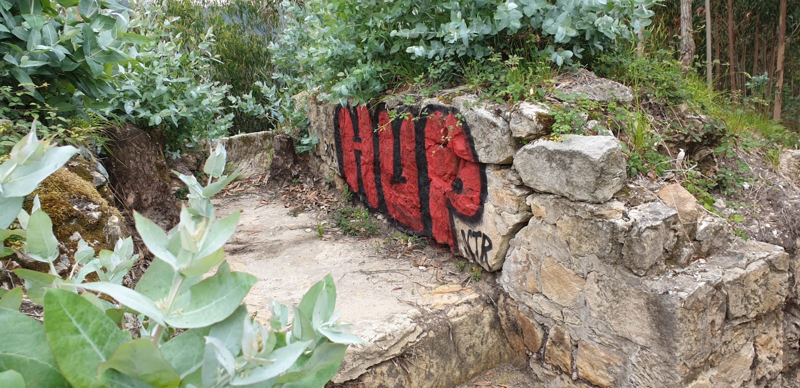 Burdin Hesian egindako grafitiak salatu dituzte
