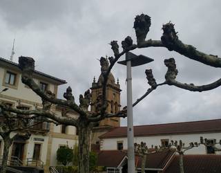 Barrikako Udalak argiztapena berritu du oinezkoen segurtasuna hobetzeko