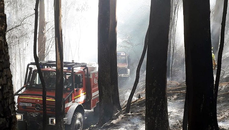 Suhiltzaile bi artatu behar izan dituzte Barrikobasoko sutean