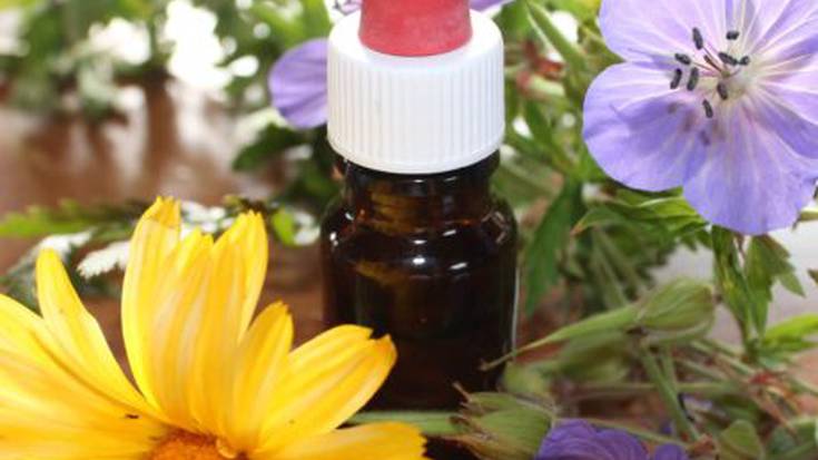 Helduentzako tailerra: Neguko sendabelarrak, ibilbidea eta tailerra