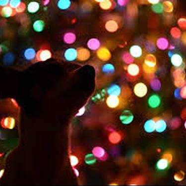 Gabonetako jolas parkea