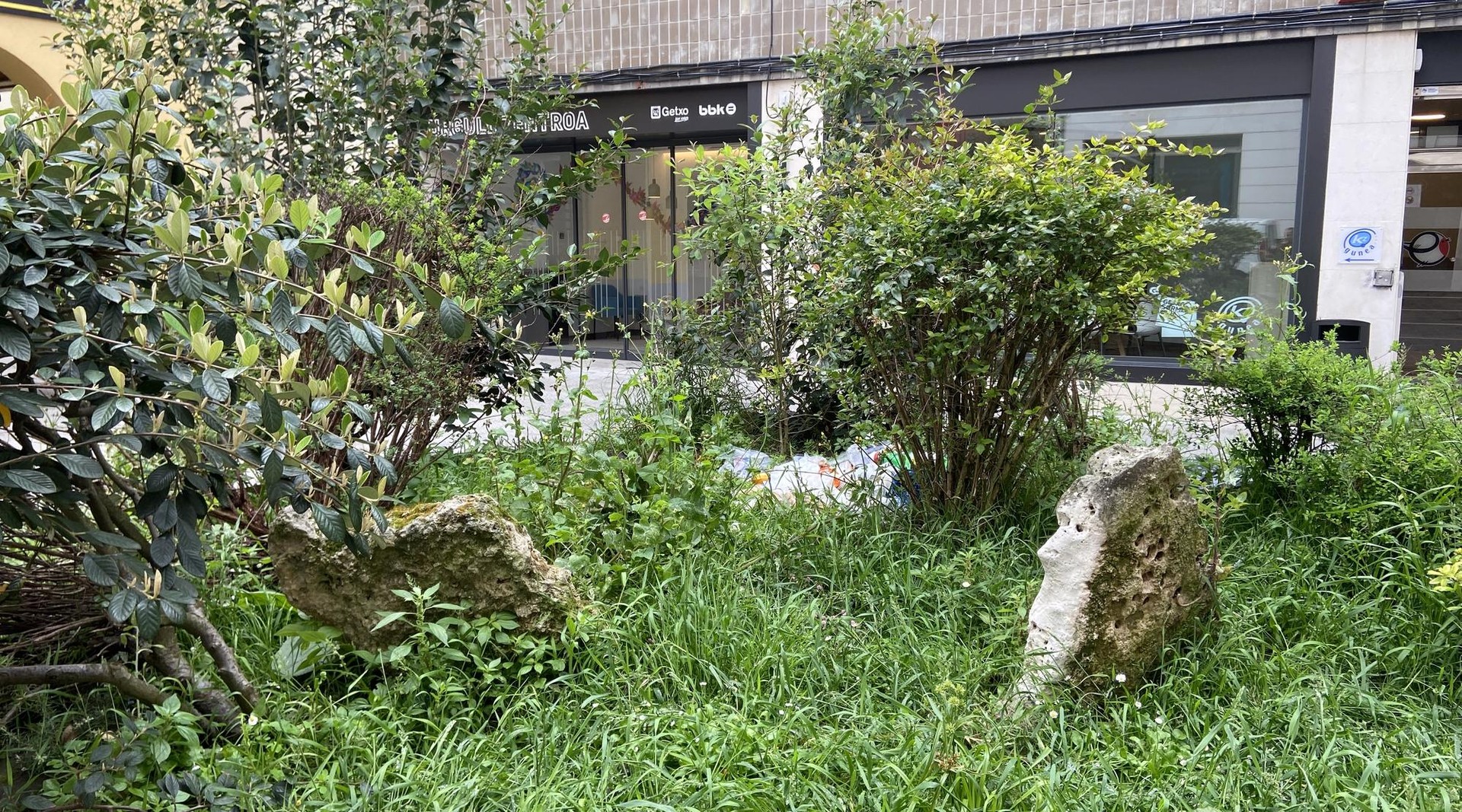 Udalerriko berdeguneetan pilatutako zikinkeria "nahita" isuritakoa dela salatu eta lorezaintza-zerbitzukoen grebagaz lotu du Getxoko Udalak