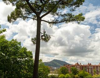 Argazki lehiaketa Artatza parkea defendatzeko