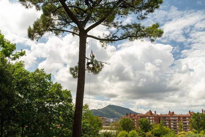 Argazki lehiaketa Artatza parkea defendatzeko