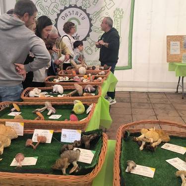 Dastatu Urria 2025: perretxikoak, gastronomia, musika eta artisau garagardoa Gorlizen
